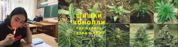 соль курить ск Богданович