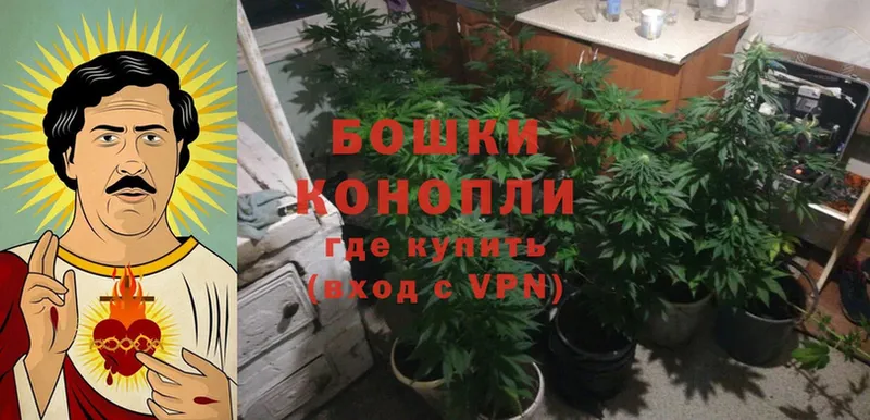 купить   Каменск-Шахтинский  Бошки марихуана LSD WEED 